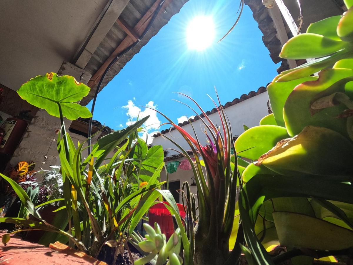 Hostal Posada Mi Casa San Cristóbal de Las Casas Eksteriør billede