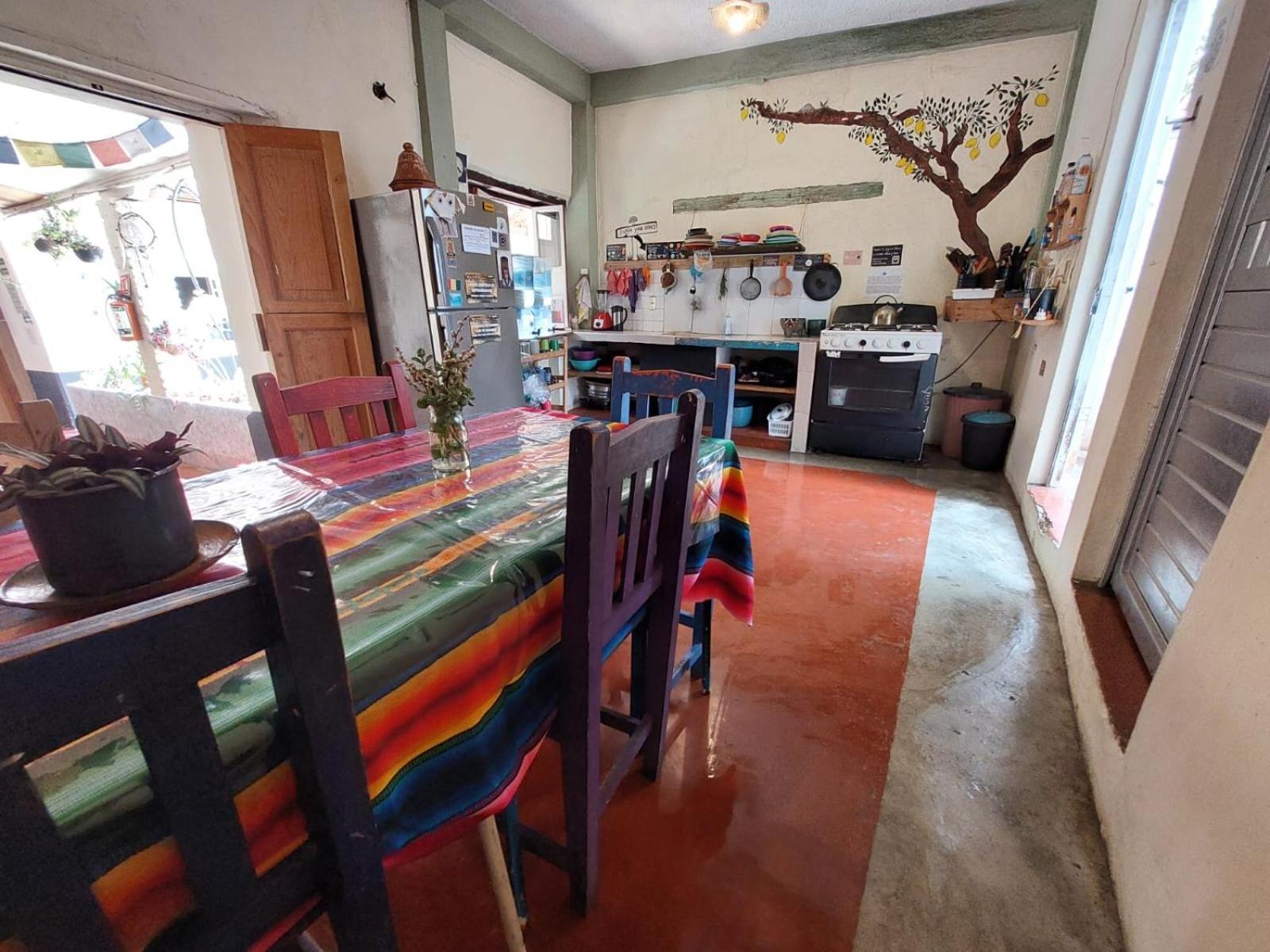 Hostal Posada Mi Casa San Cristóbal de Las Casas Eksteriør billede