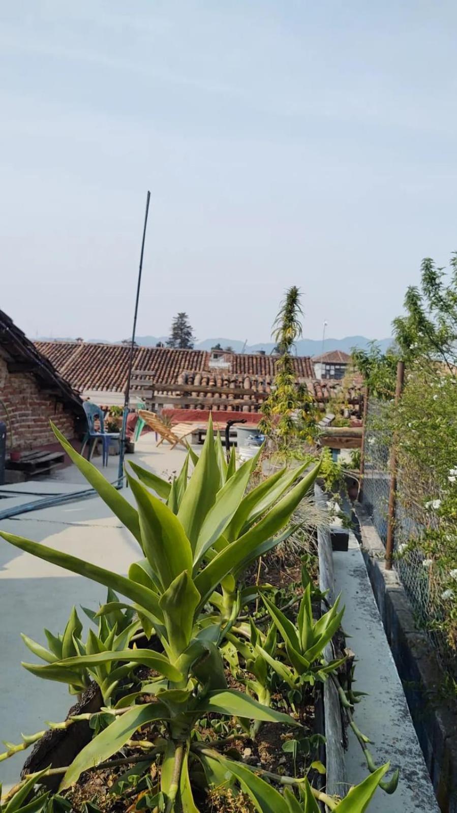 Hostal Posada Mi Casa San Cristóbal de Las Casas Eksteriør billede