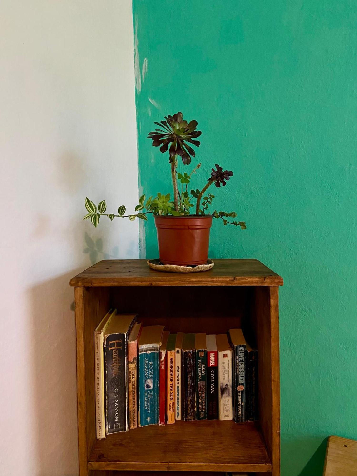 Hostal Posada Mi Casa San Cristóbal de Las Casas Eksteriør billede